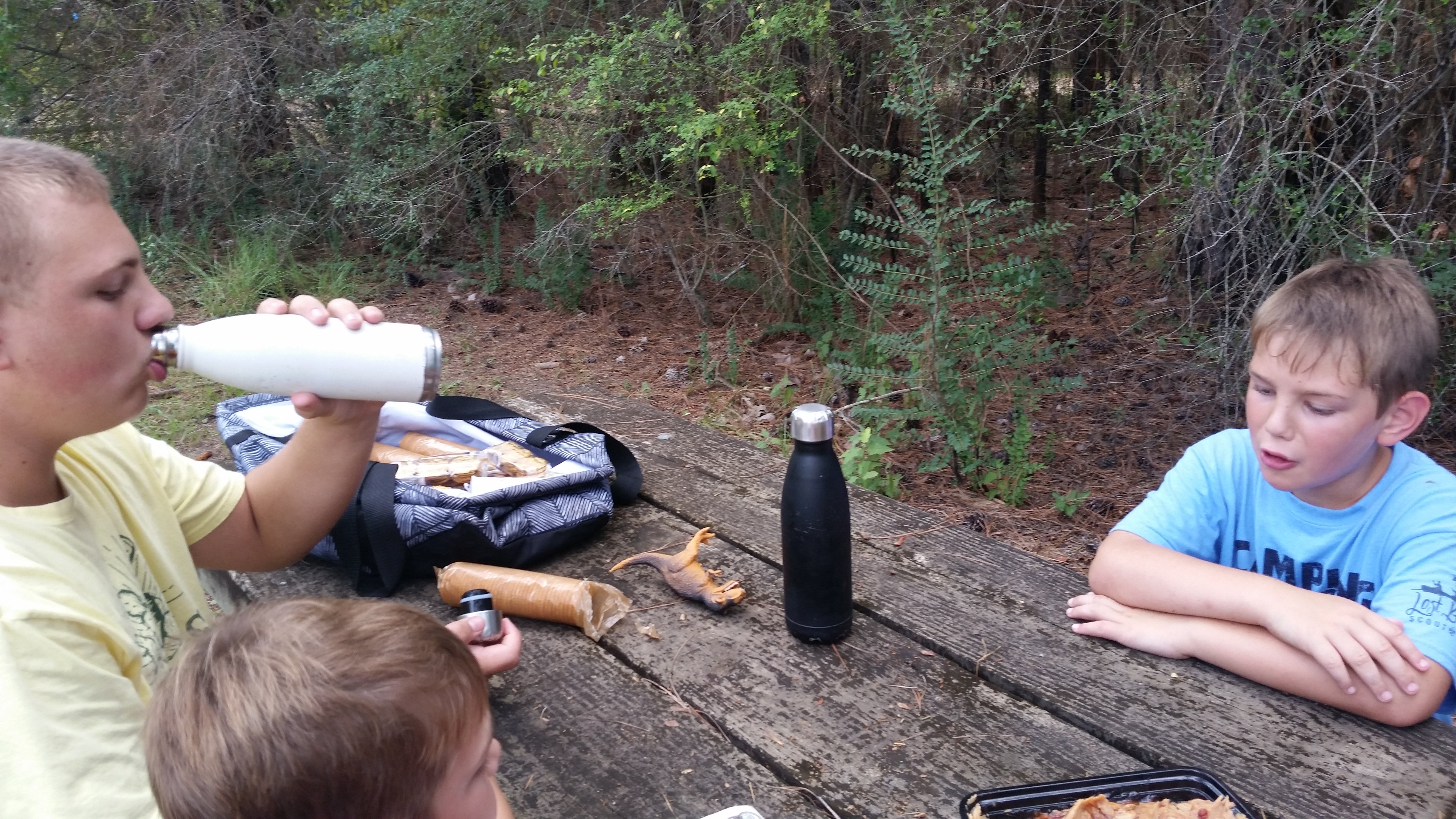 Camper submitted image from Kisatchie National Forest Loran/Claiborne Trailhead Camp - 4
