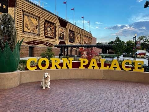 Jayne M.'s photo of camping with pets at Lake Mitchell Campground near Geddes, SD