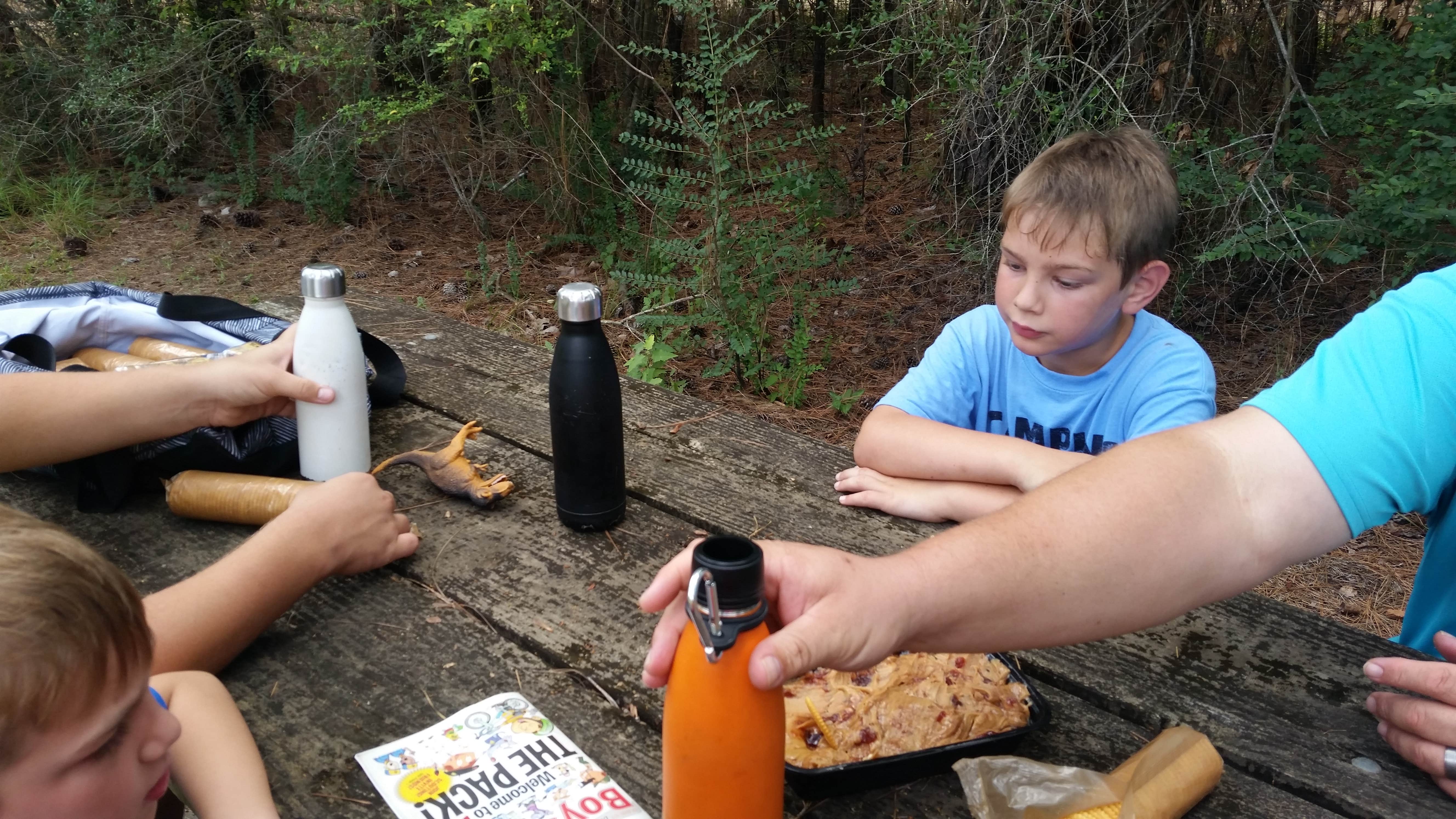 Camper submitted image from Kisatchie National Forest Loran/Claiborne Trailhead Camp - 5