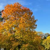 Review photo of George Wyth State Park Campground by Jayne M., October 5, 2022