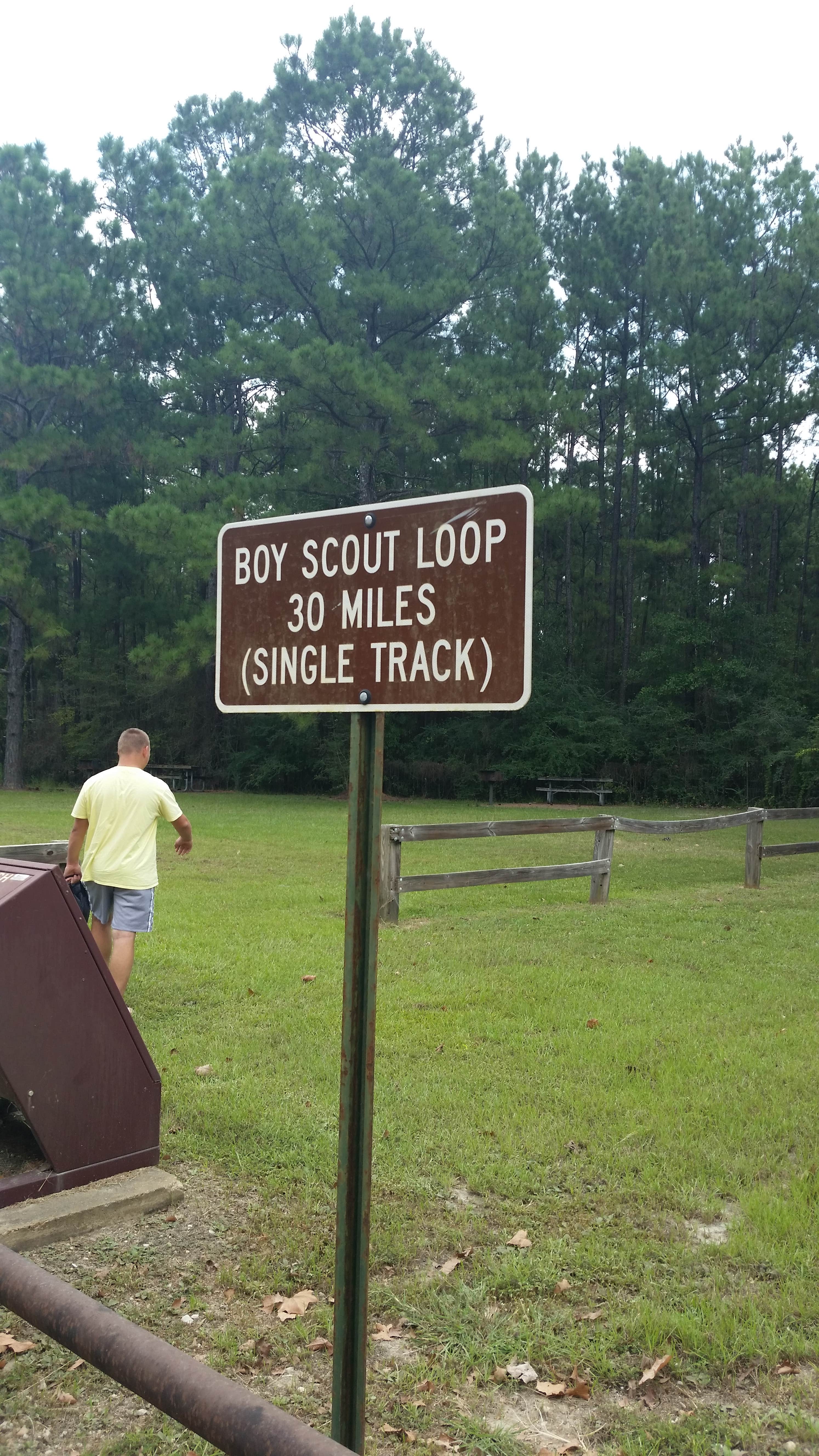 Camper submitted image from Kisatchie National Forest Loran/Claiborne Trailhead Camp - 2