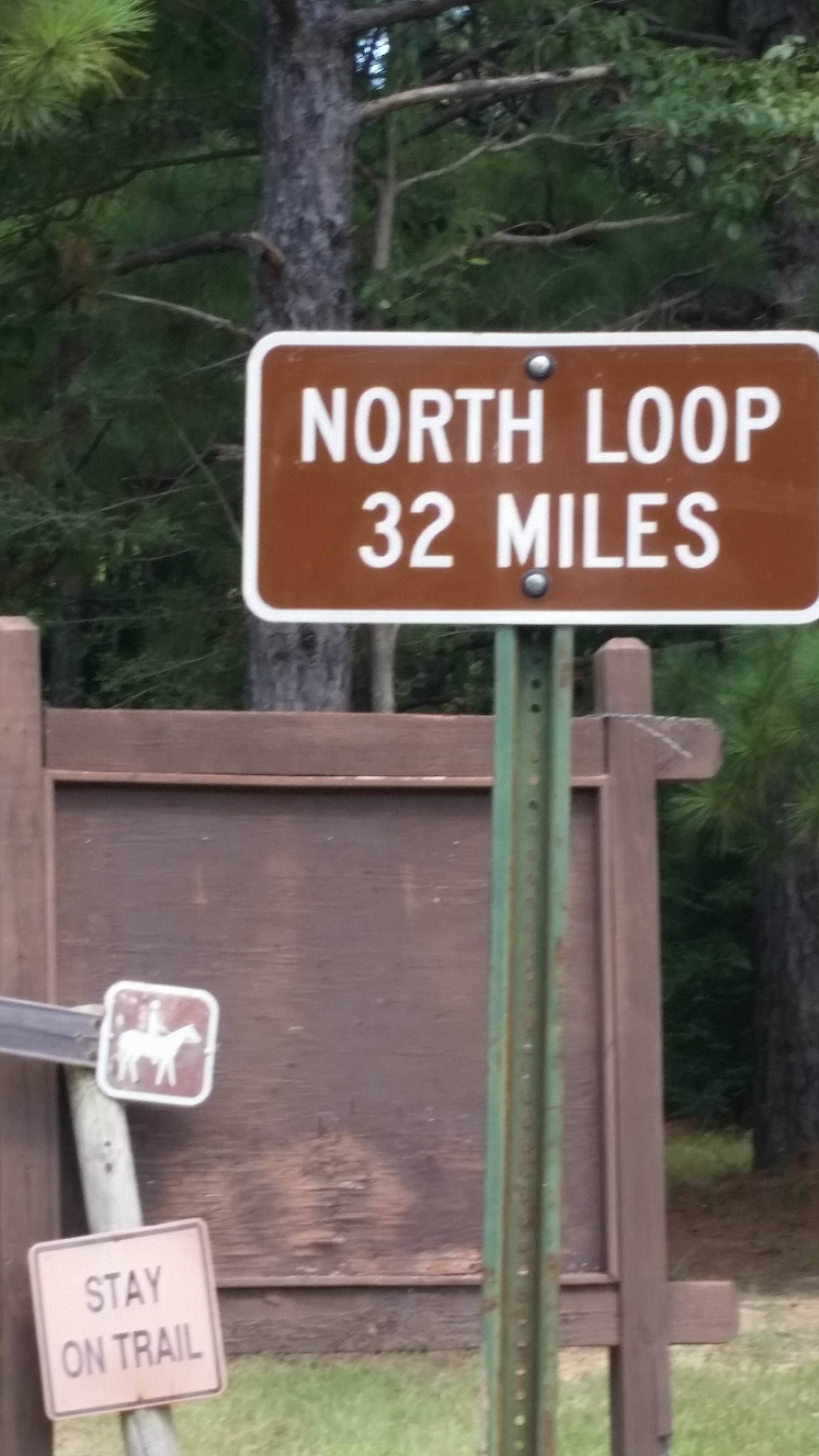 Camper submitted image from Kisatchie National Forest Loran/Claiborne Trailhead Camp - 3