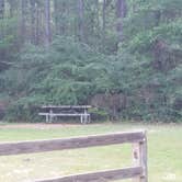 Review photo of Kisatchie National Forest Loran/Claiborne Trailhead Camp by Paula W., September 5, 2018