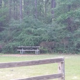 Review photo of Kisatchie National Forest Loran/Claiborne Trailhead Camp by Paula W., September 5, 2018