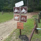 Review photo of Kisatchie National Forest Loran/Claiborne Trailhead Camp by Paula W., September 5, 2018