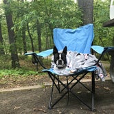 Review photo of Deep Creek Lake State Park Campground by Andrea S., September 5, 2018