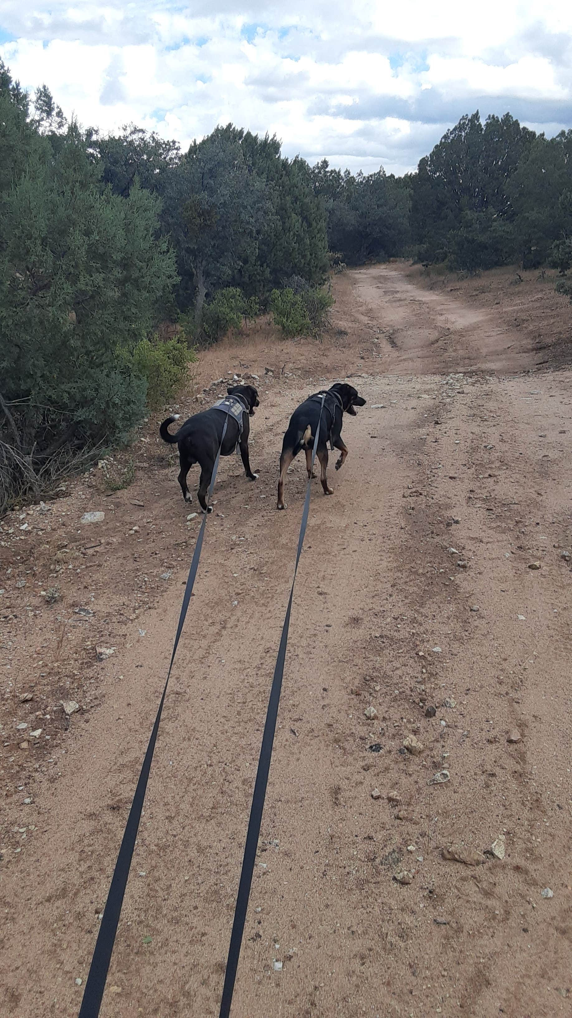 Camper submitted image from Cattlemen Trail - Dispersed Camping - 5