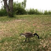 Review photo of Inks Lake State Park Campground by Andrea S., September 5, 2018