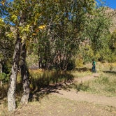 Review photo of Stove Prairie by Wren H., October 5, 2022
