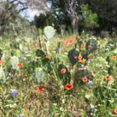 Review photo of Inks Lake State Park Campground by Andrea S., September 5, 2018