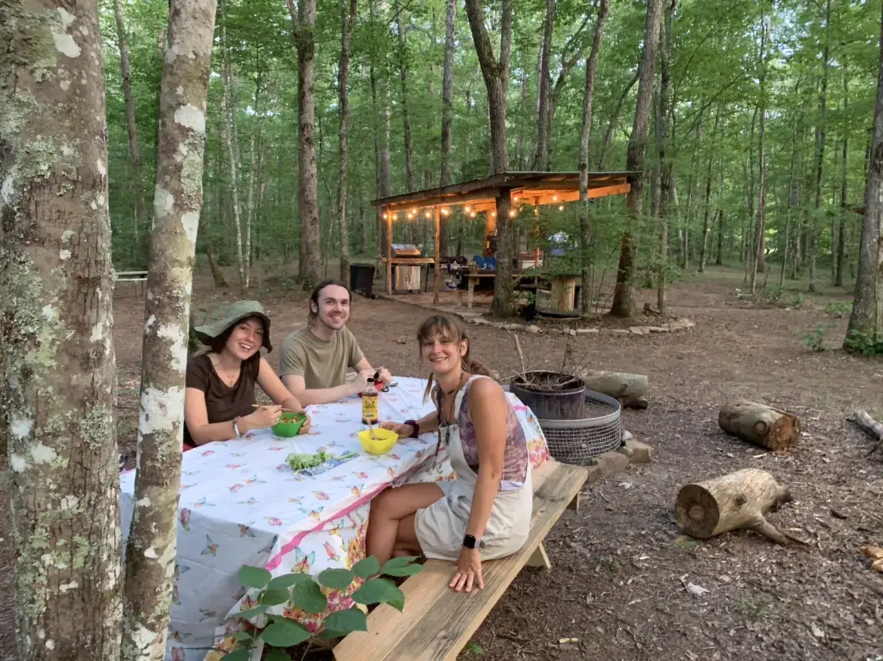 Camper-submitted photo at The Falls at Sewanee Creek near Jasper, TN