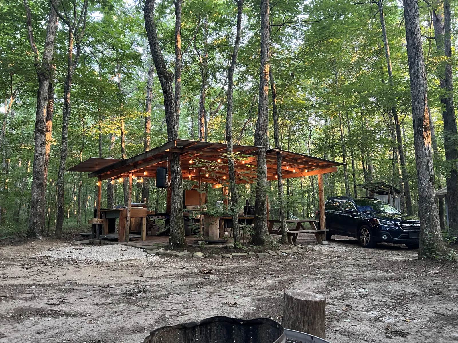 Camper submitted image from The Falls at Sewanee Creek - 1