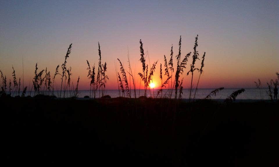 Camper submitted image from Cayo Costa State Park Campground - 2