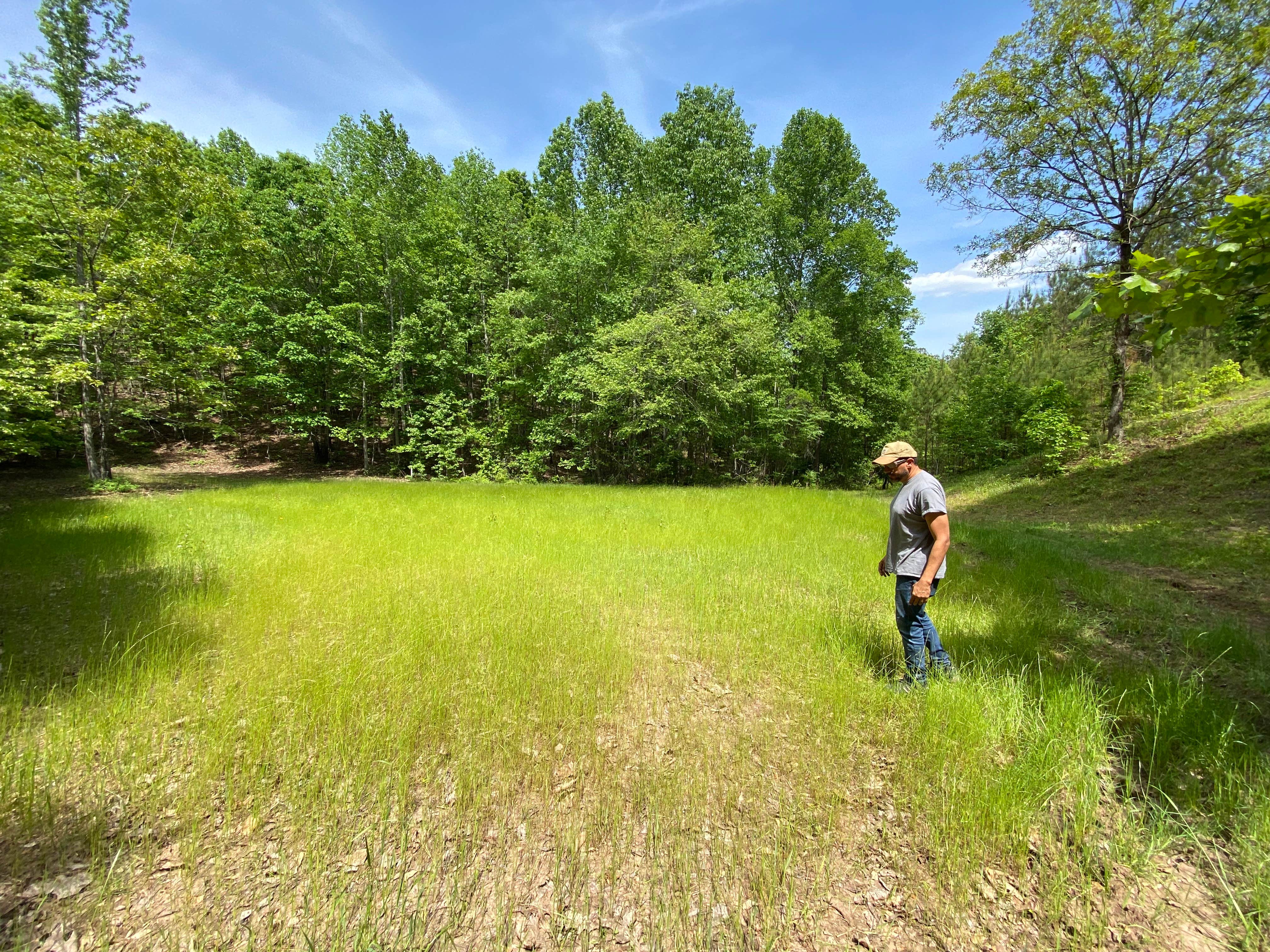 Camper-submitted photo at Star Point Reserve near Dadeville, AL