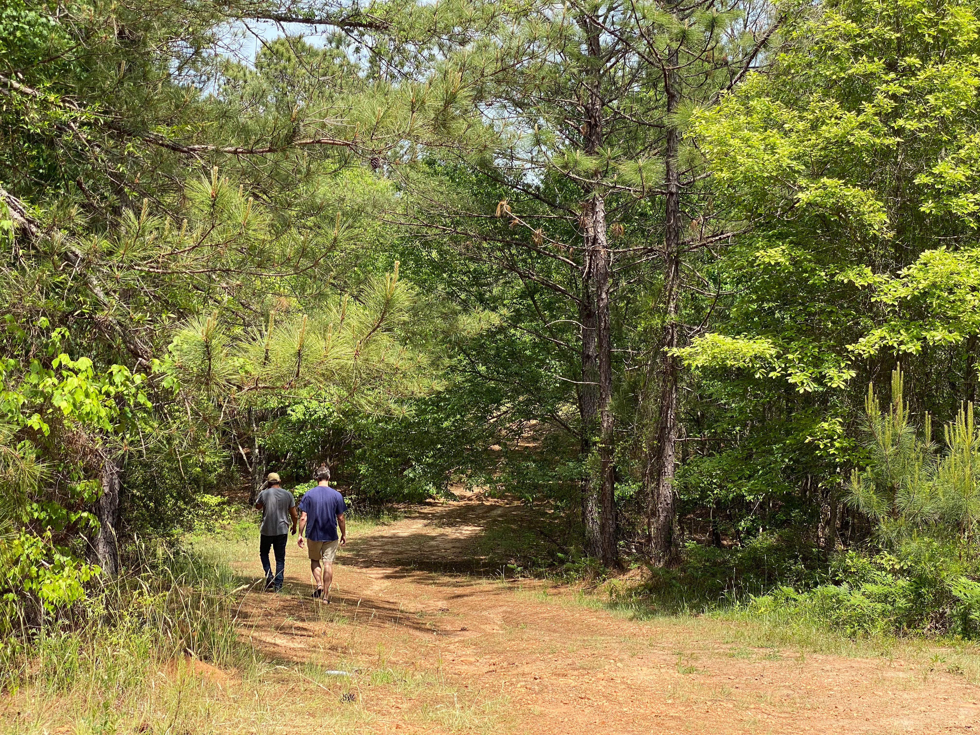 Camper-submitted photo at Star Point Reserve near Dadeville, AL
