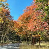 Review photo of Maple Lake Campground by Debra H., October 6, 2022