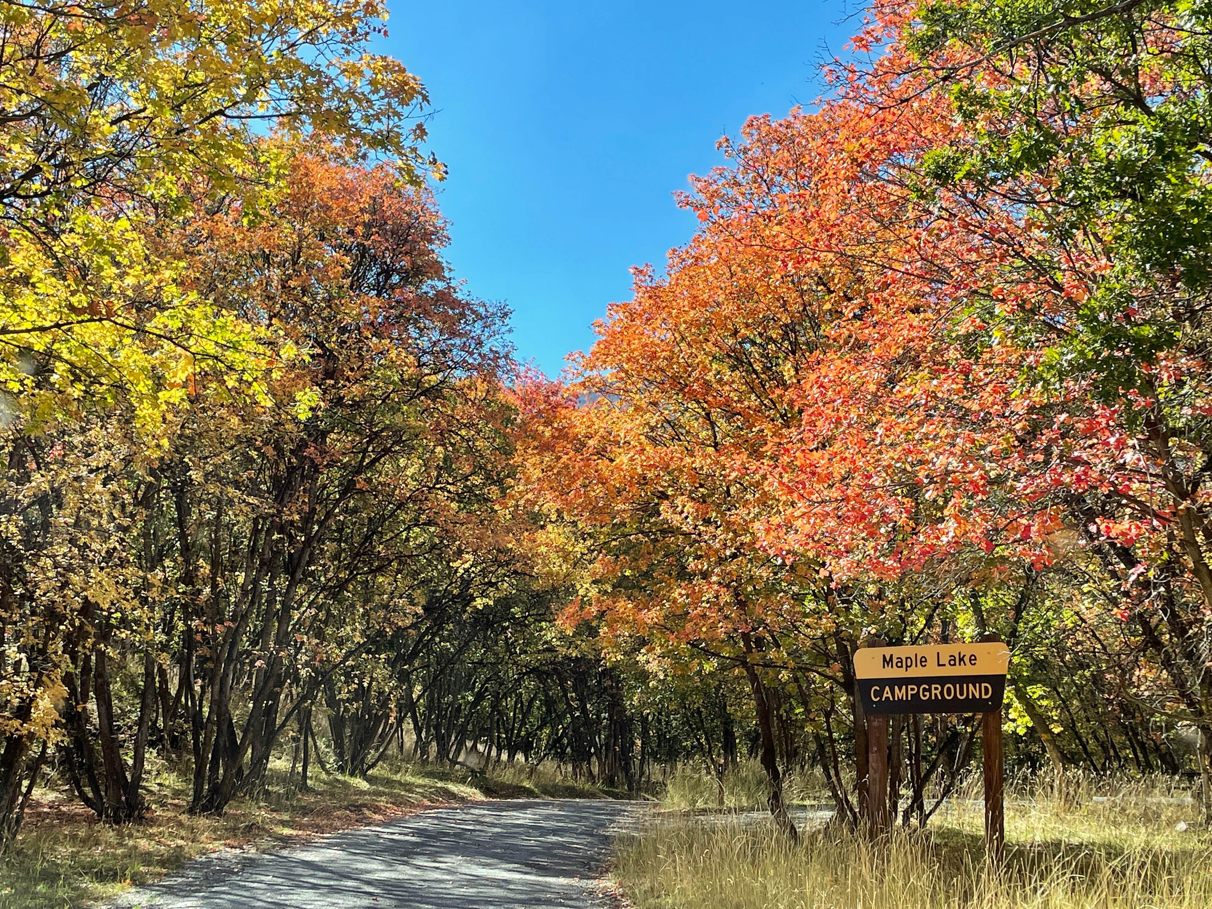 Camper submitted image from Maple Lake Campground - 1