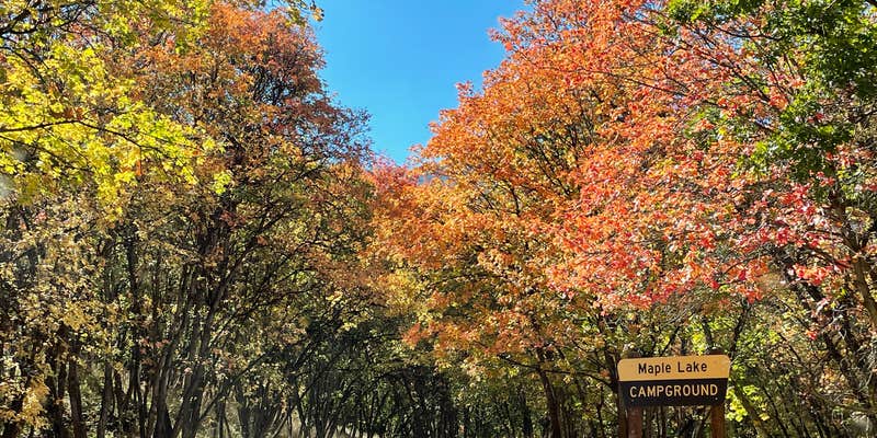 Camper submitted image from Maple Lake Campground