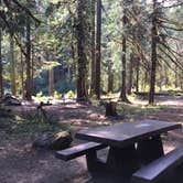 Review photo of Staircase Campground — Olympic National Park by Kelsey M., September 5, 2018