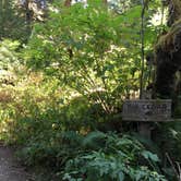 Review photo of Staircase Campground — Olympic National Park by Kelsey M., September 5, 2018