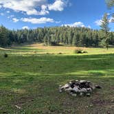 Review photo of Lincoln NF - Forest Service Road 64 - Dispersed Camping by Jacob  W., October 6, 2022