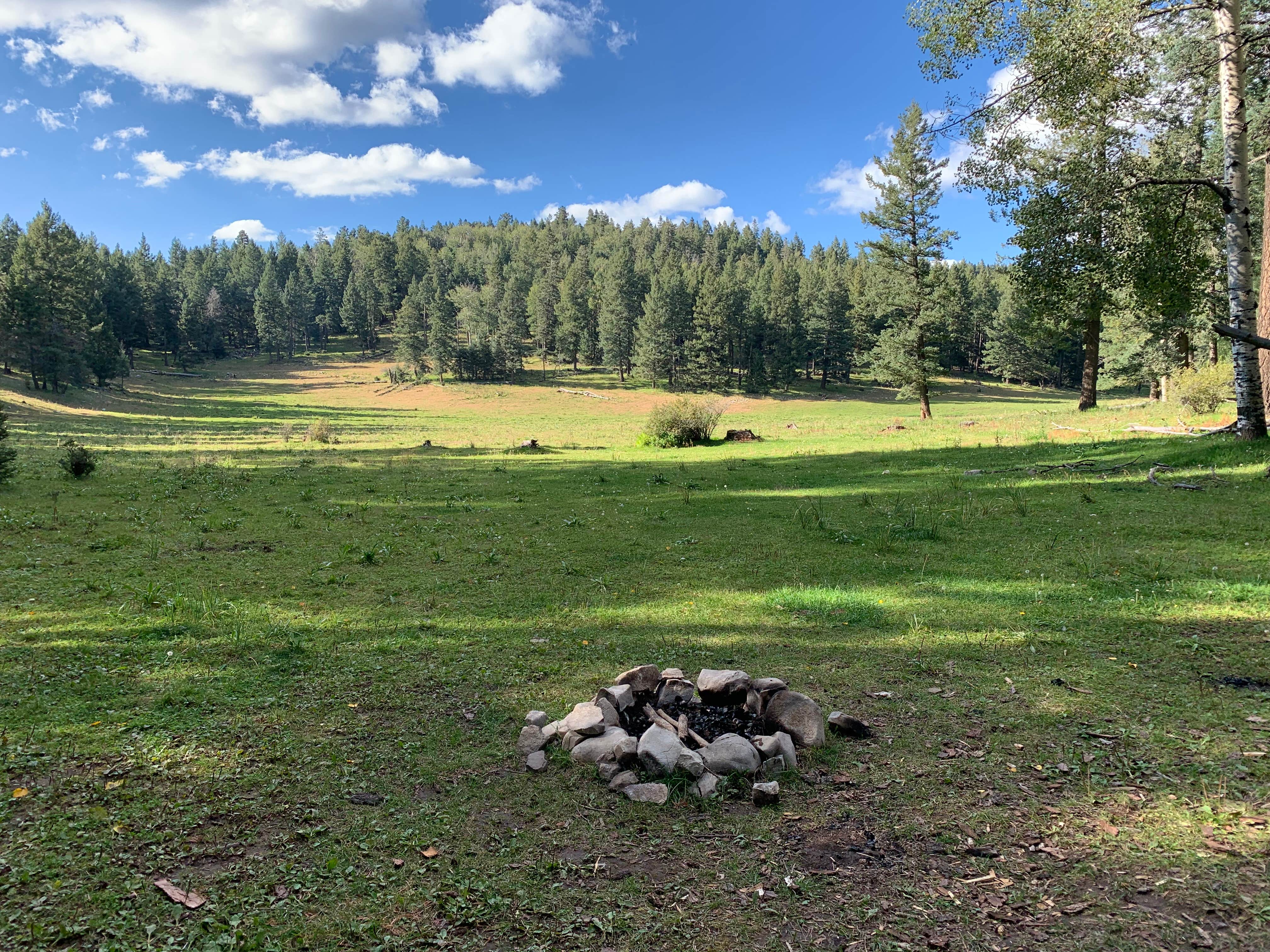 Camper submitted image from Lincoln NF - Forest Service Road 64 - Dispersed Camping - 2