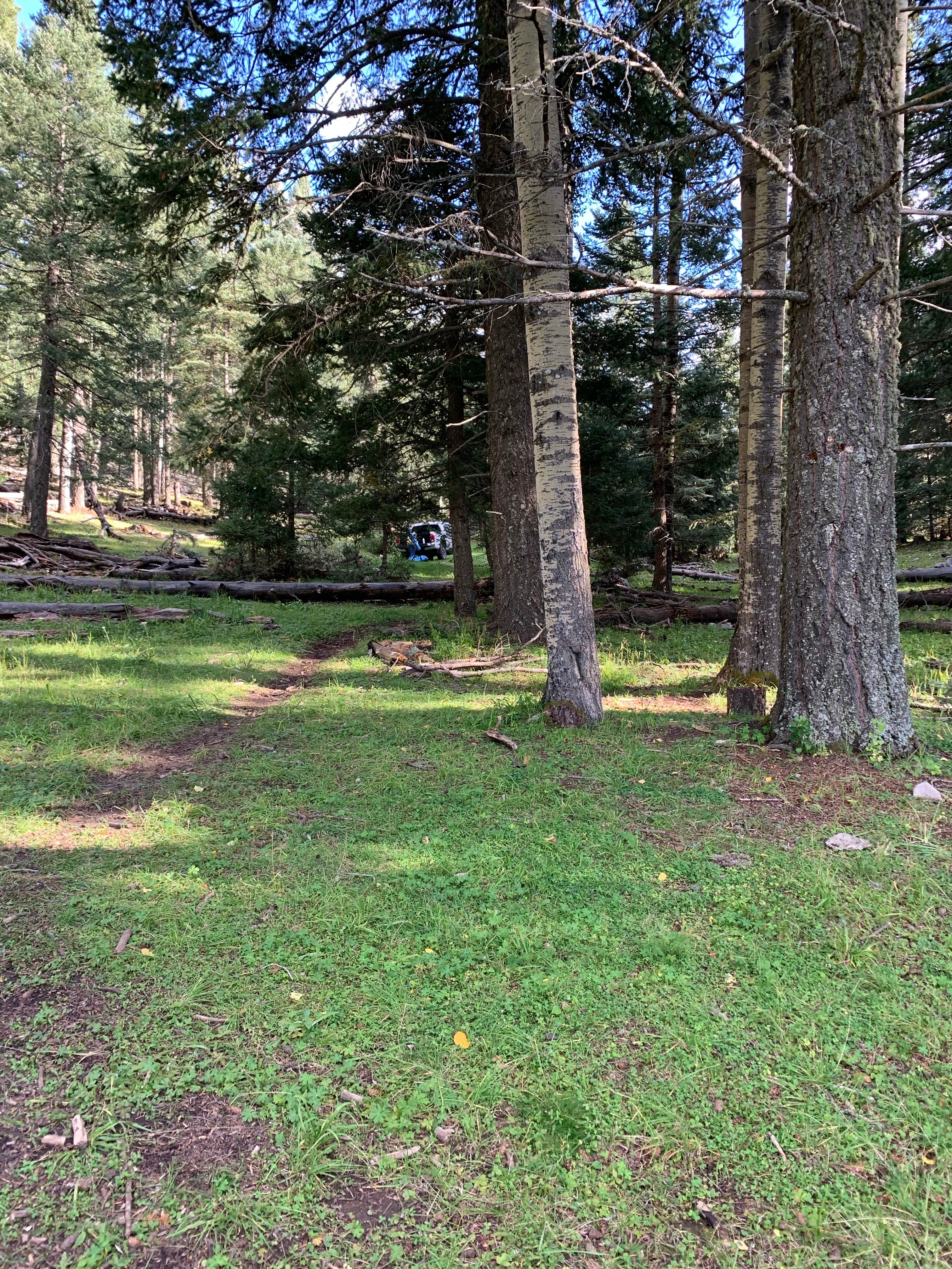 Camper-submitted photo at Lincoln NF - Forest Service Road 64 - Dispersed Camping near Timberon, NM