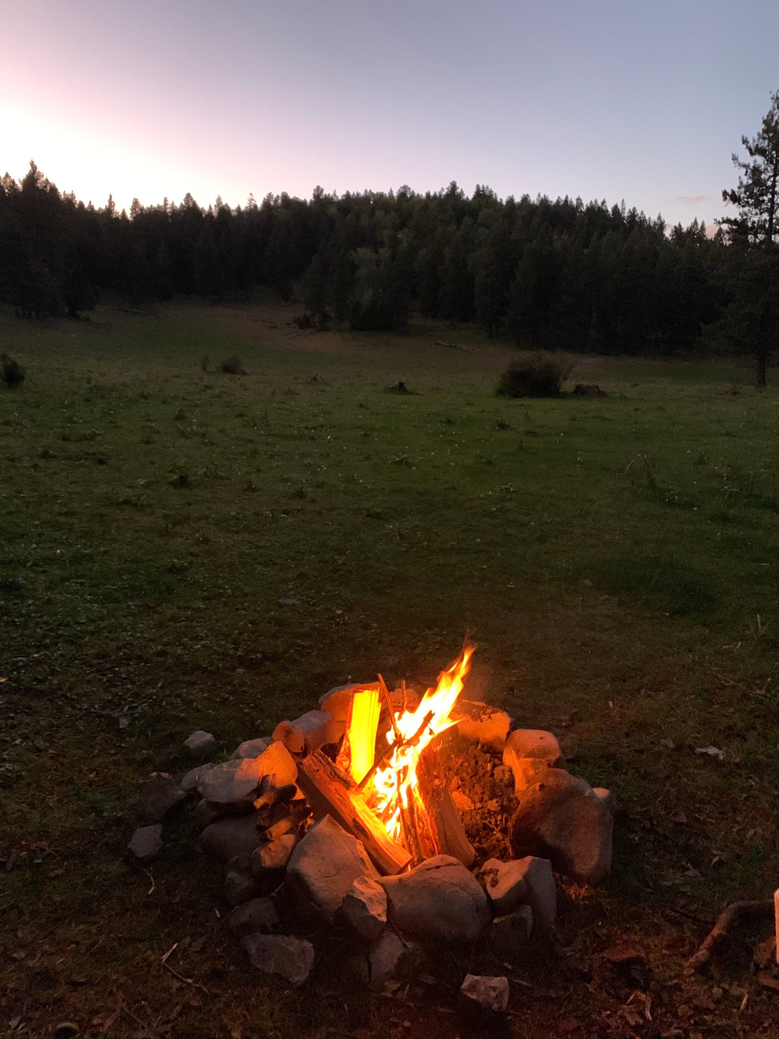Camper submitted image from Lincoln NF - Forest Service Road 64 - Dispersed Camping  - 4