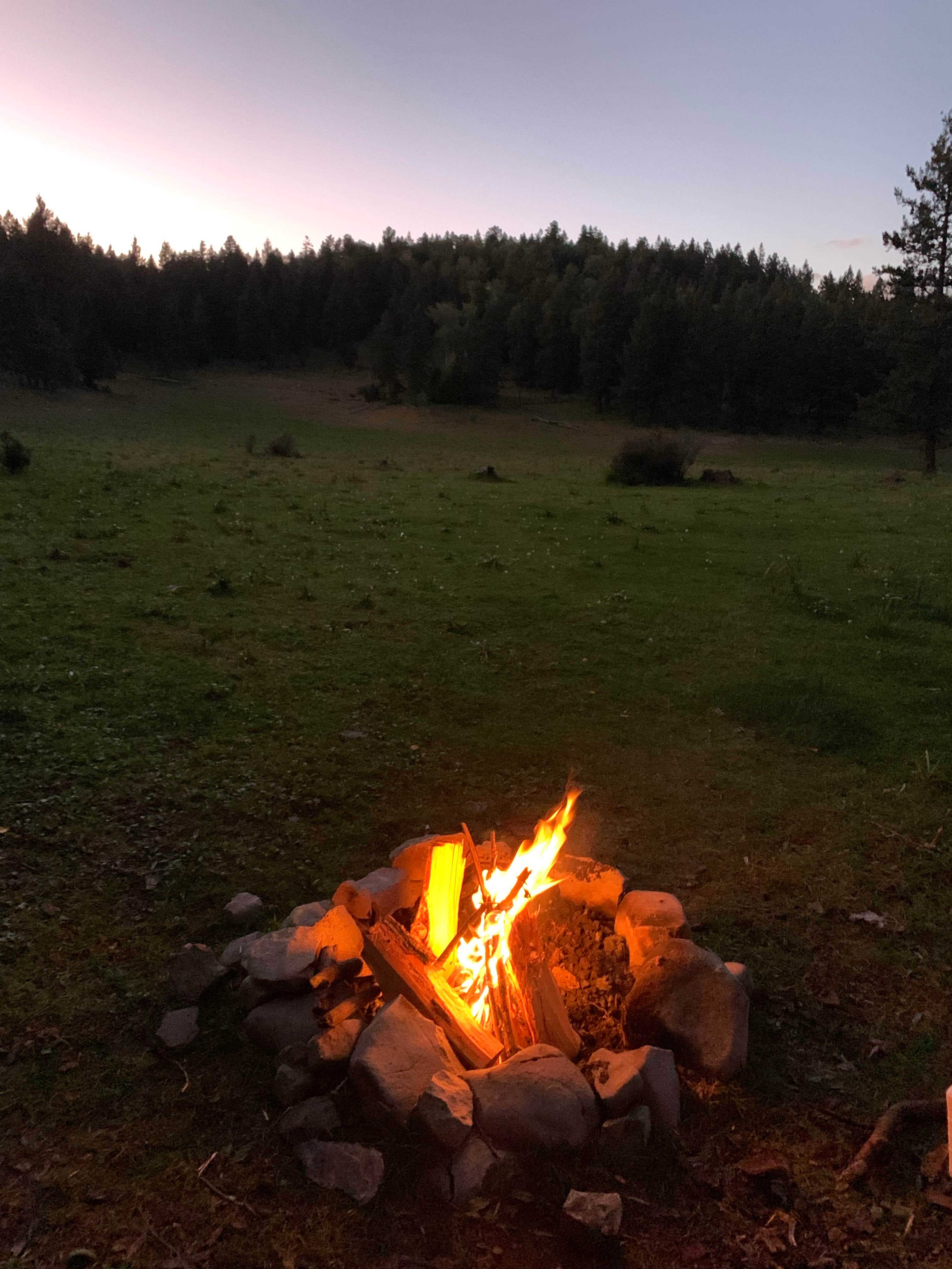 Camper submitted image from Lincoln NF - Forest Service Road 64 - Dispersed Camping - 4