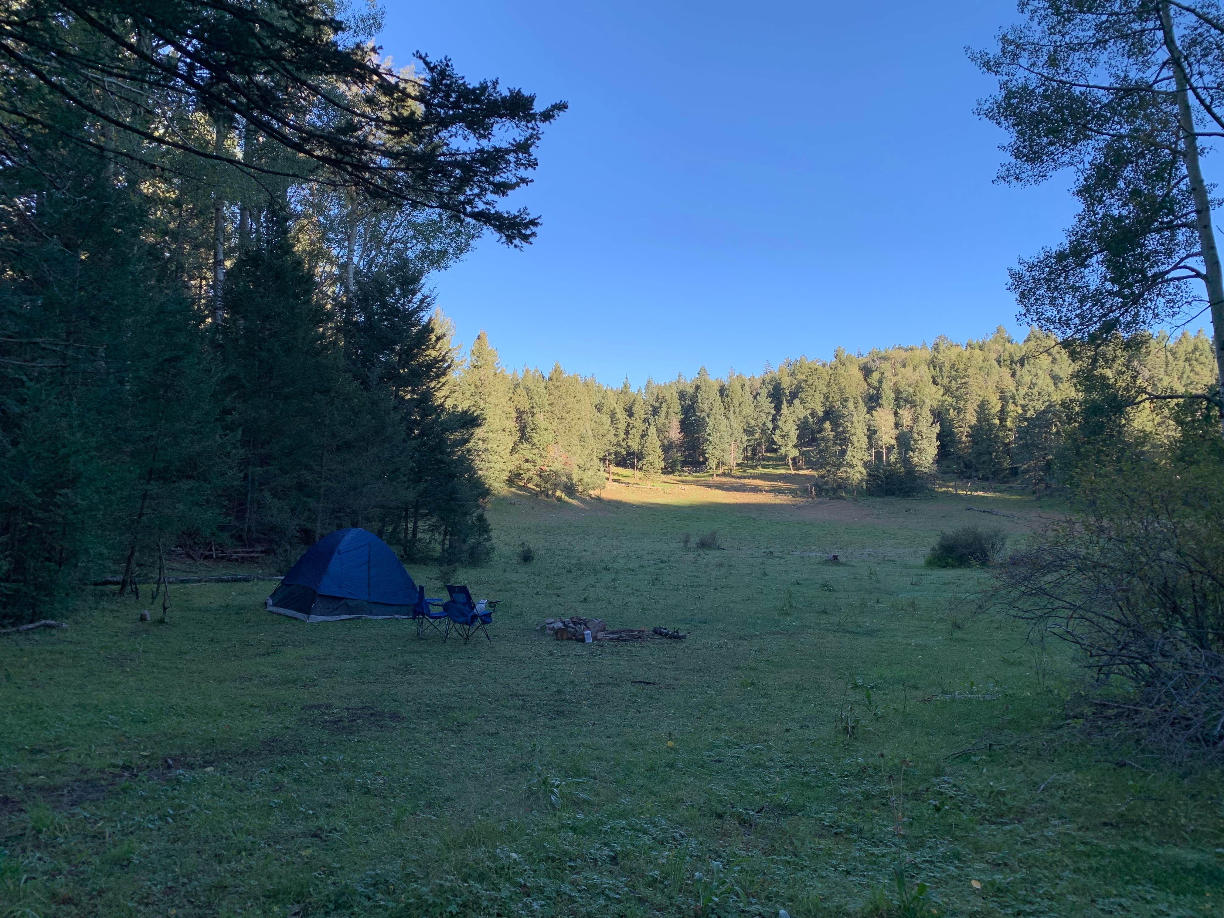 Lincoln NF - Forest Service Road 64 - Dispersed Camping