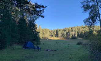 Camping near Hornbuckle Hill: Lincoln NF - Forest Service Road 64 - Dispersed Camping , Sunspot, New Mexico