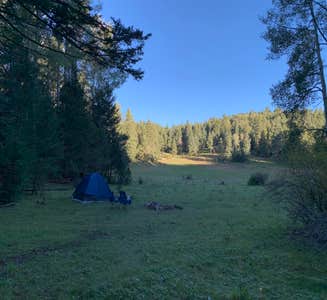Camper-submitted photo from Lincoln NF - Forest Service Road 64 - Dispersed Camping 