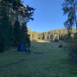 Lincoln NF - Forest Service Road 64 - Dispersed Camping 