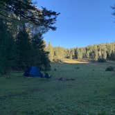 Review photo of Lincoln NF - Forest Service Road 64 - Dispersed Camping by Jacob  W., October 6, 2022