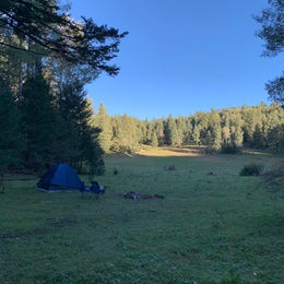 Lincoln NF - Forest Service Road 64 - Dispersed Camping 