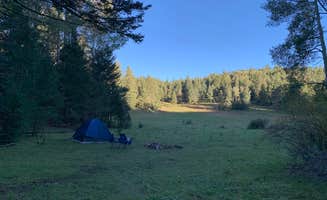 Jacob  W.'s photo at Lincoln NF - Forest Service Road 64 - Dispersed Camping near Timberon, NM