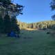 Lincoln NF - Forest Service Road 64 - Dispersed Camping