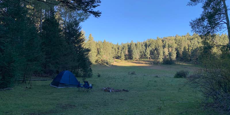 Camper submitted image from Lincoln NF - Forest Service Road 64 - Dispersed Camping