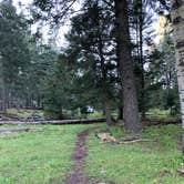 Review photo of Lincoln NF - Forest Service Road 64 - Dispersed Camping by Jacob  W., October 6, 2022