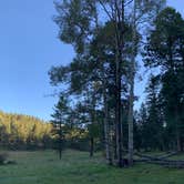 Review photo of Lincoln NF - Forest Service Road 64 - Dispersed Camping by Jacob  W., October 6, 2022