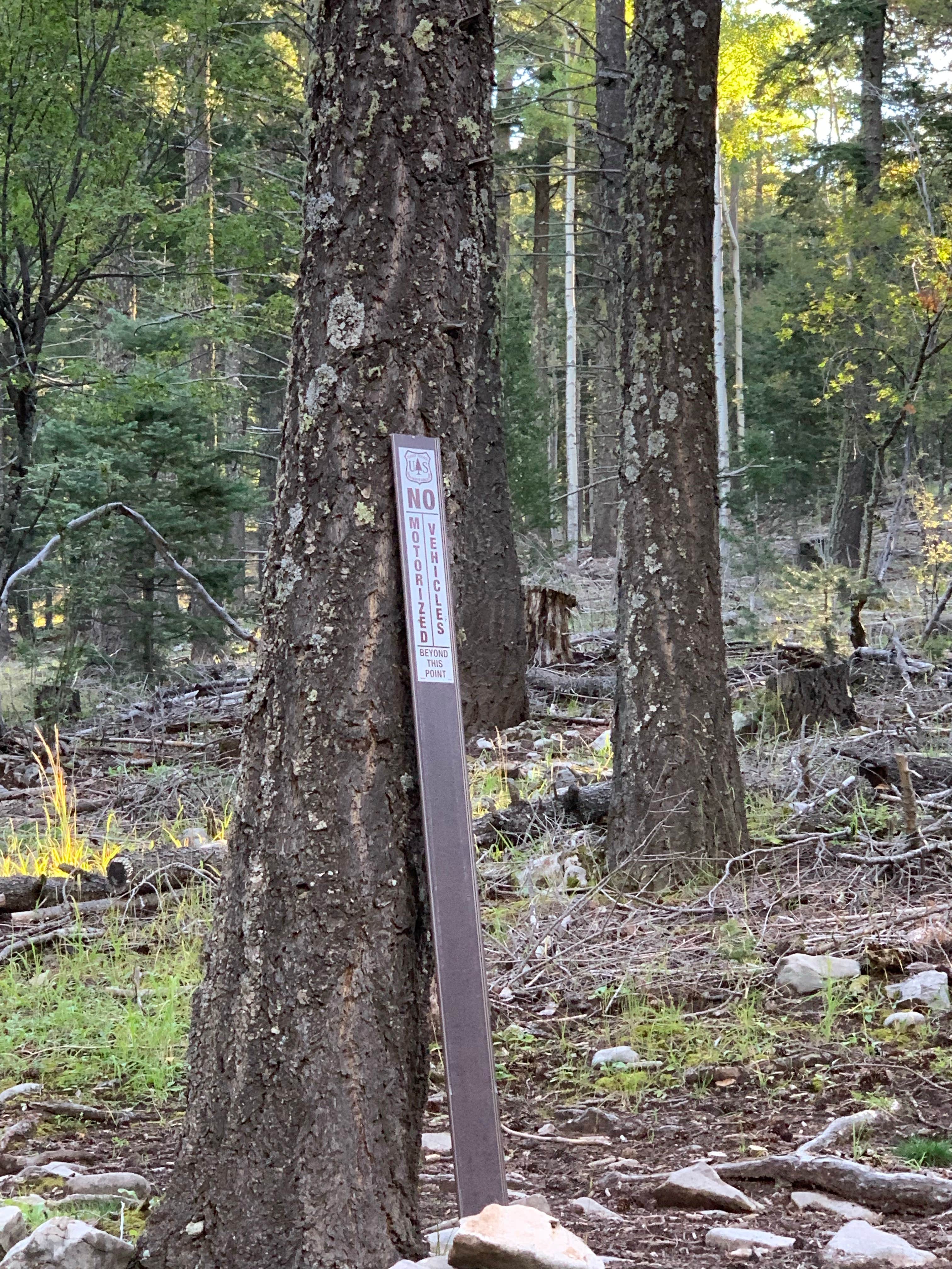 Camper-submitted photo at Lincoln NF - Forest Service Road 64 - Dispersed Camping near White Sands National Park