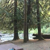 Review photo of Staircase Campground — Olympic National Park by Kelsey M., September 5, 2018