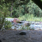 Review photo of Staircase Campground — Olympic National Park by Kelsey M., September 5, 2018