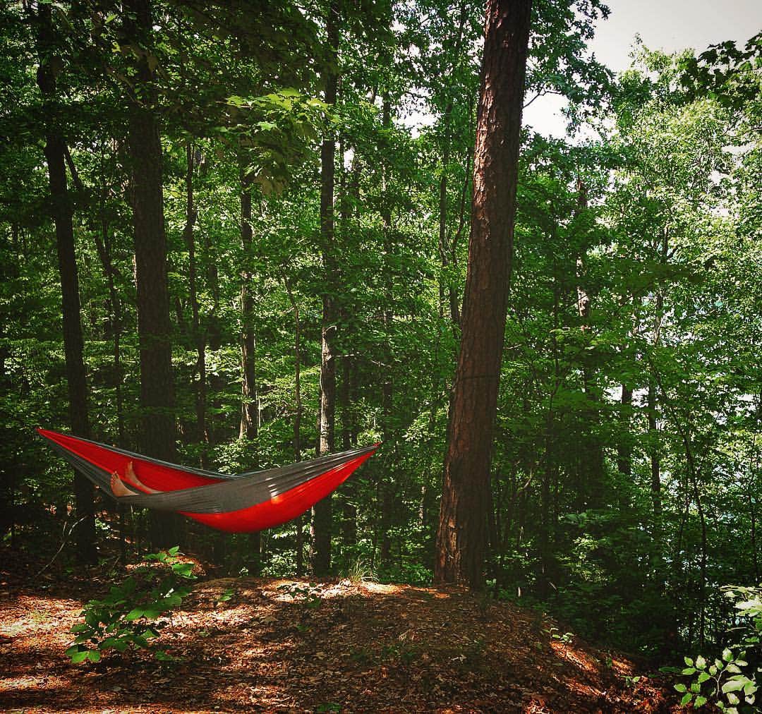 Camper-submitted photo at Doll Mountain near Talking Rock, GA