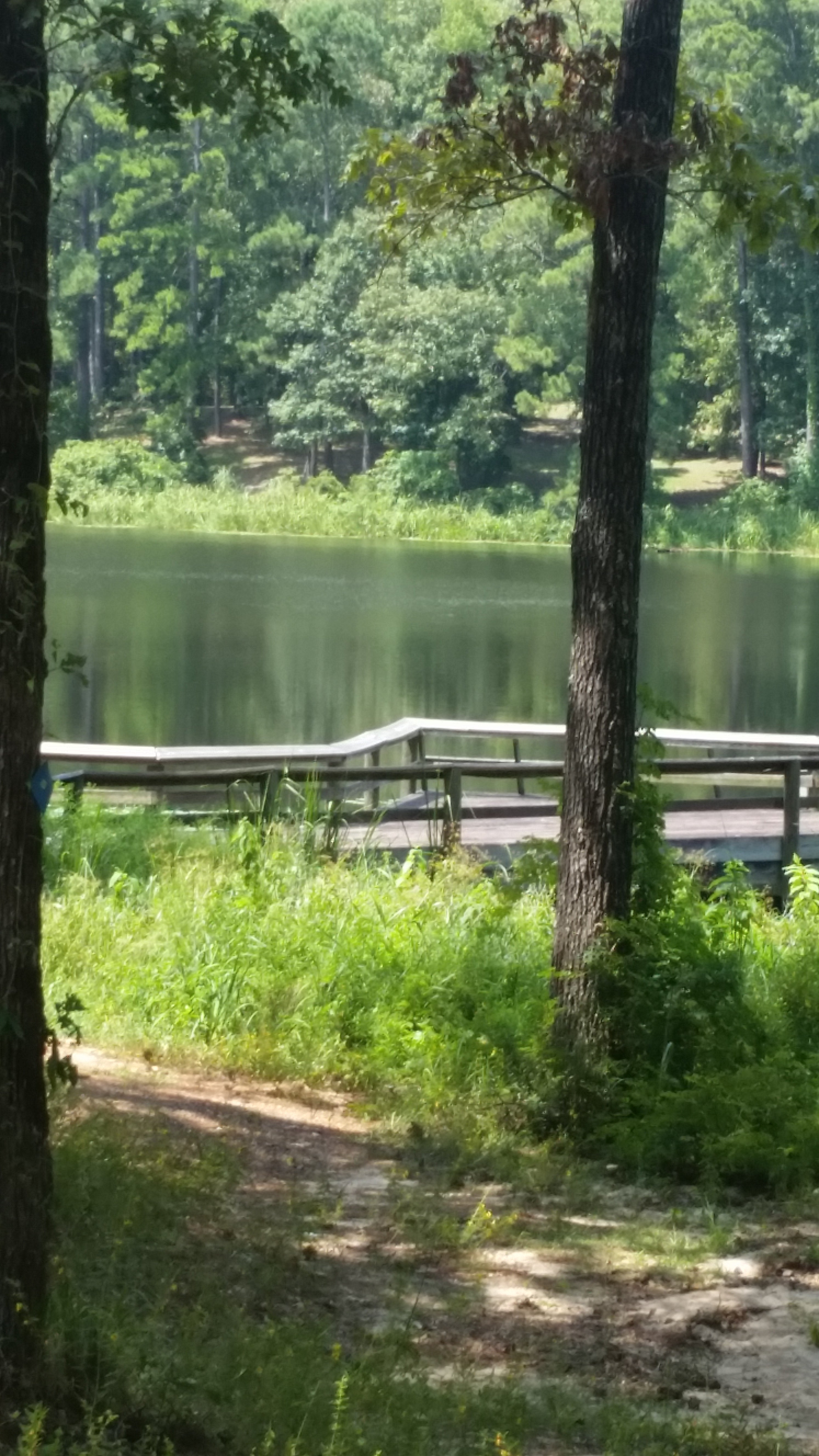 Camper submitted image from Valentine Lake Recreation Complex, Camping/day Use - 1