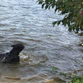 Review photo of Campground at James Island County Park by Janell M., September 5, 2018