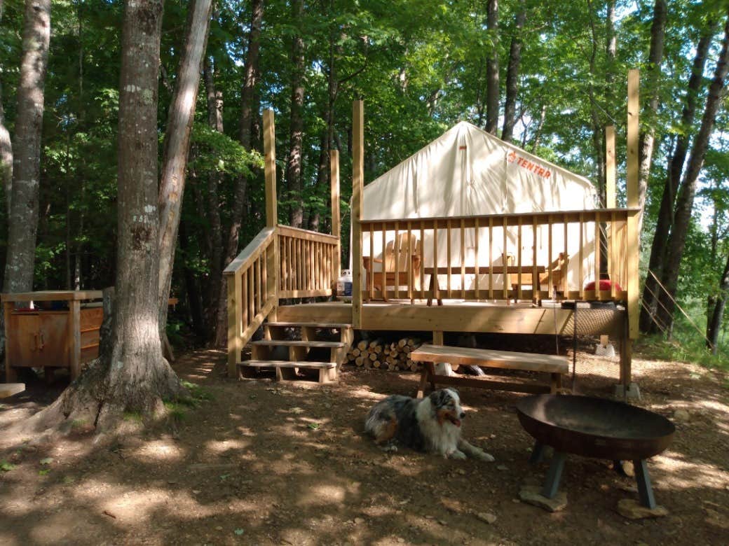 The Dyrt's photo of camping with pets at Tentrr Signature Site - DARNIT BROOK at Piper Ranch near Rumford, ME
