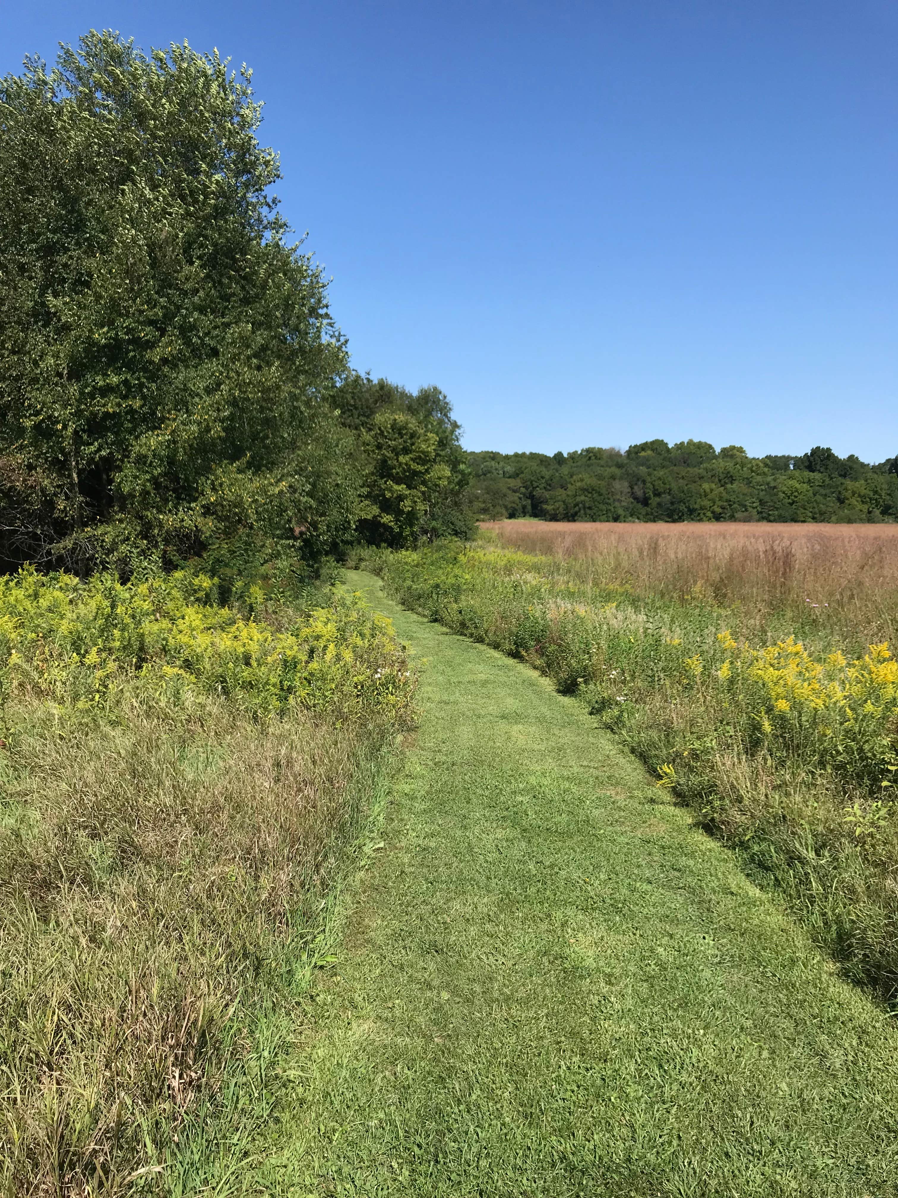 Camper submitted image from Prophetstown State Park Campground - 4