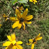 Review photo of Prophetstown State Park Campground by Pat S., September 5, 2018