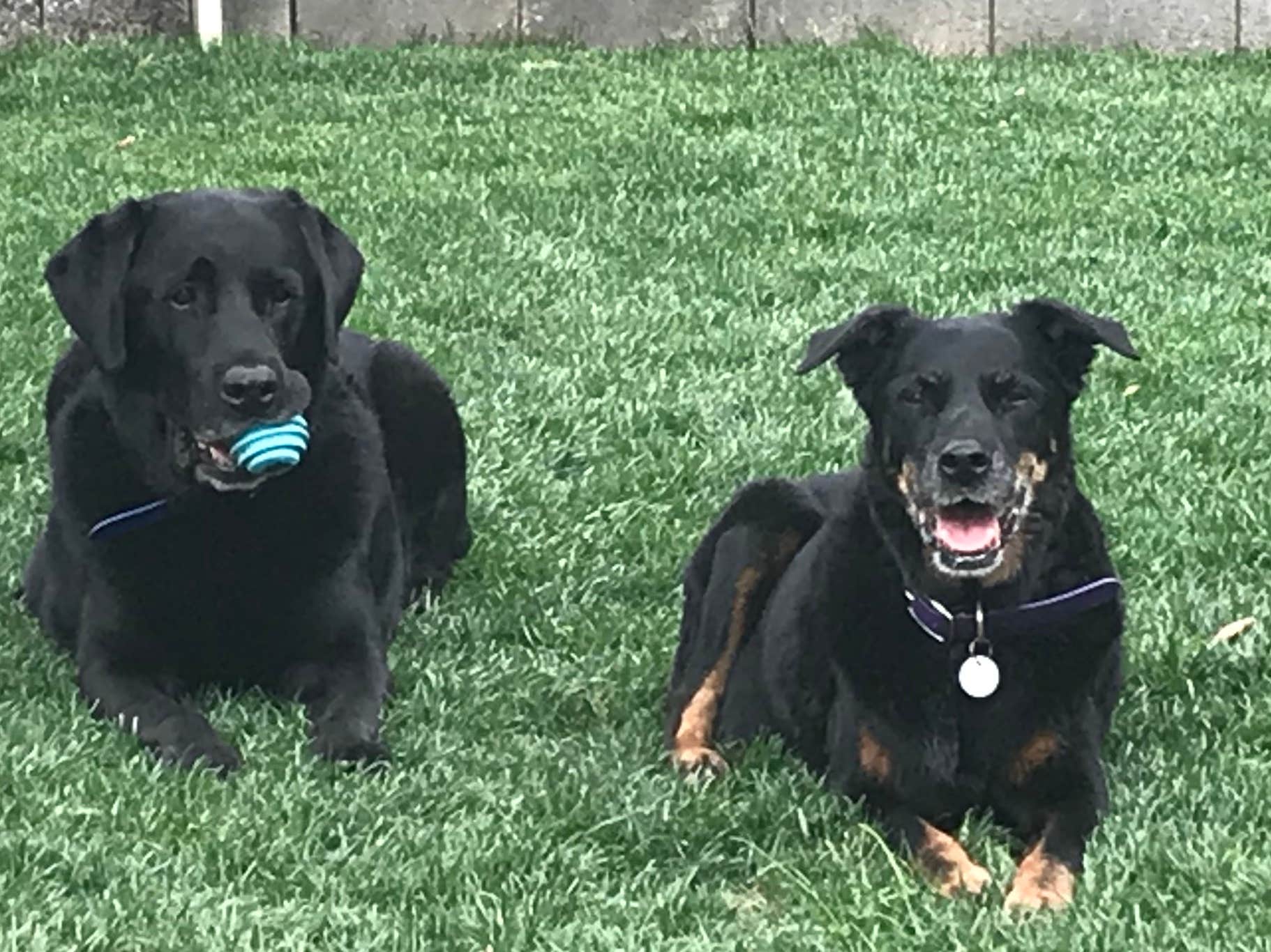 Camper-submitted photo at J & H RV Park near Gray Mountain, AZ